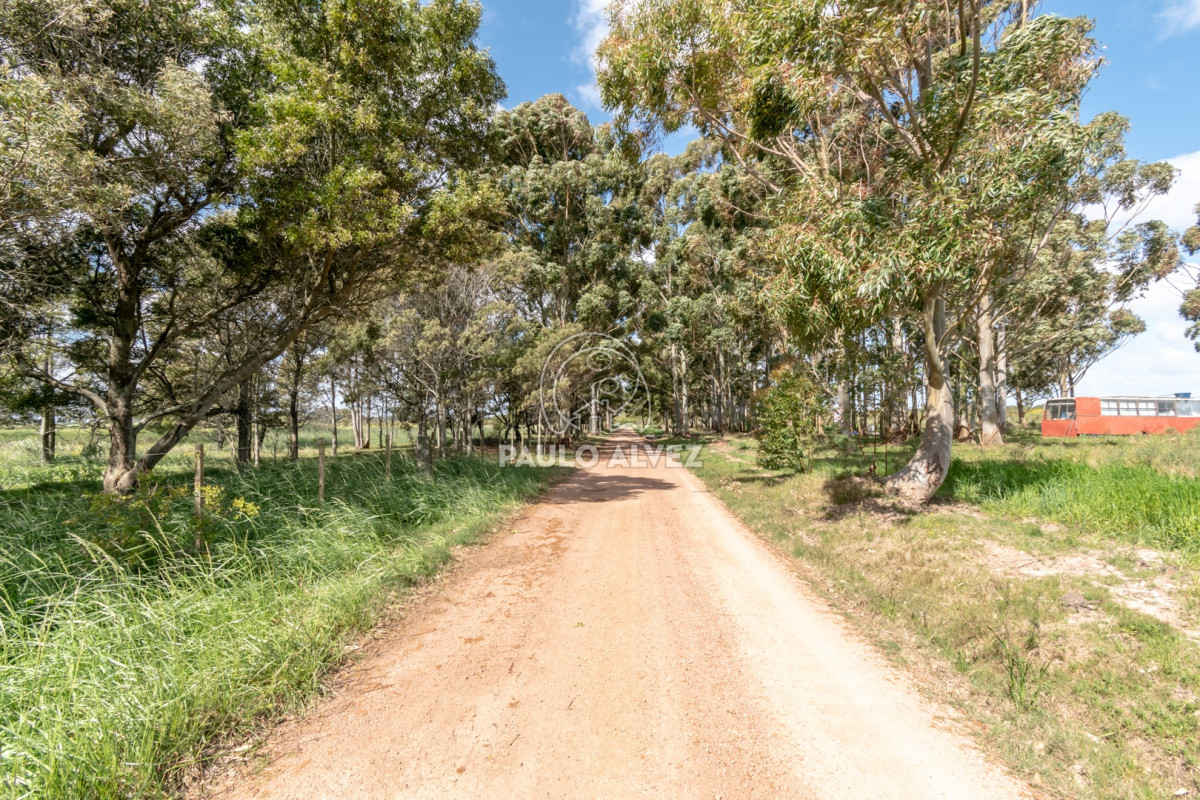 Barra Portezuelo - GoPunta - Portal Inmobiliario de Punta del Este - Maldonado