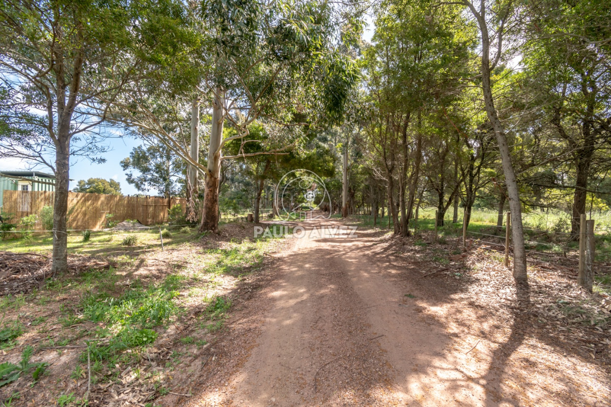 Barra Portezuelo - GoPunta - Portal Inmobiliario de Punta del Este - Maldonado