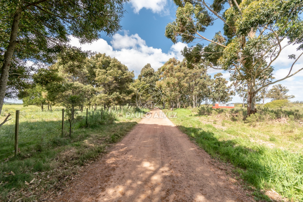 Barra Portezuelo - GoPunta - Portal Inmobiliario de Punta del Este - Maldonado