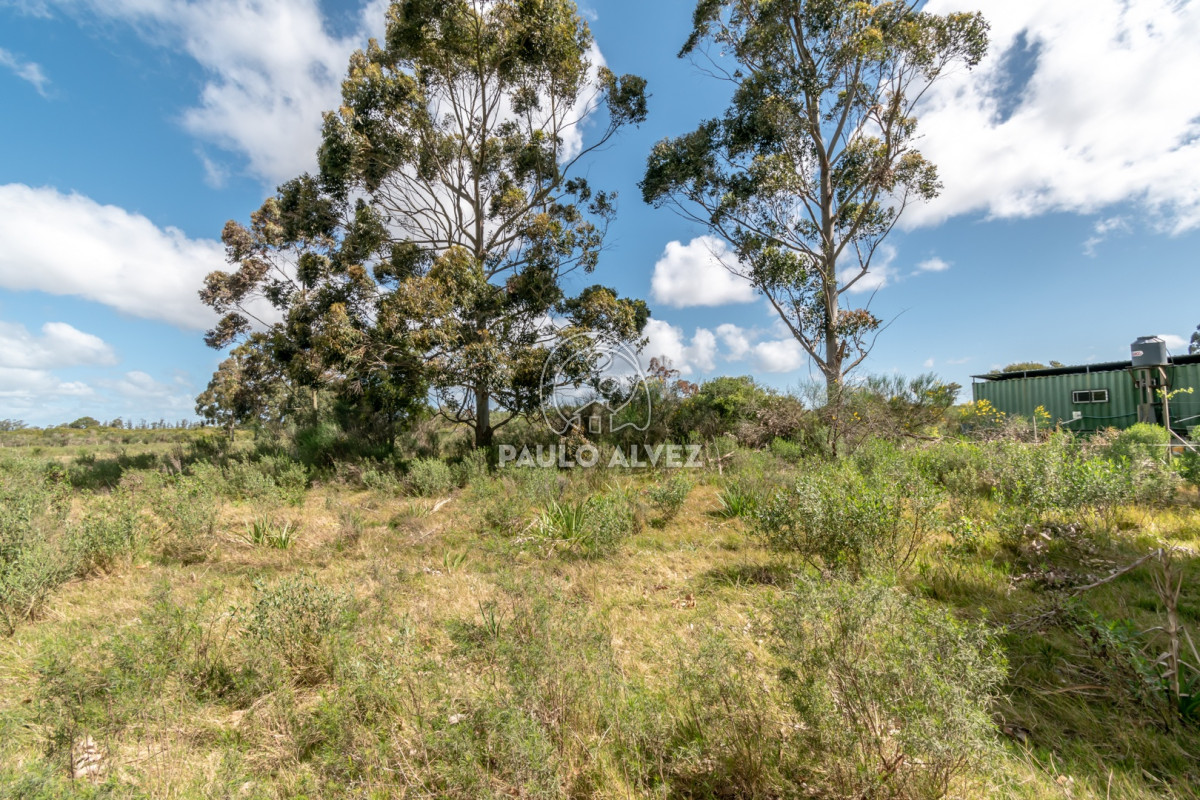 Barra Portezuelo - GoPunta - Portal Inmobiliario de Punta del Este - Maldonado