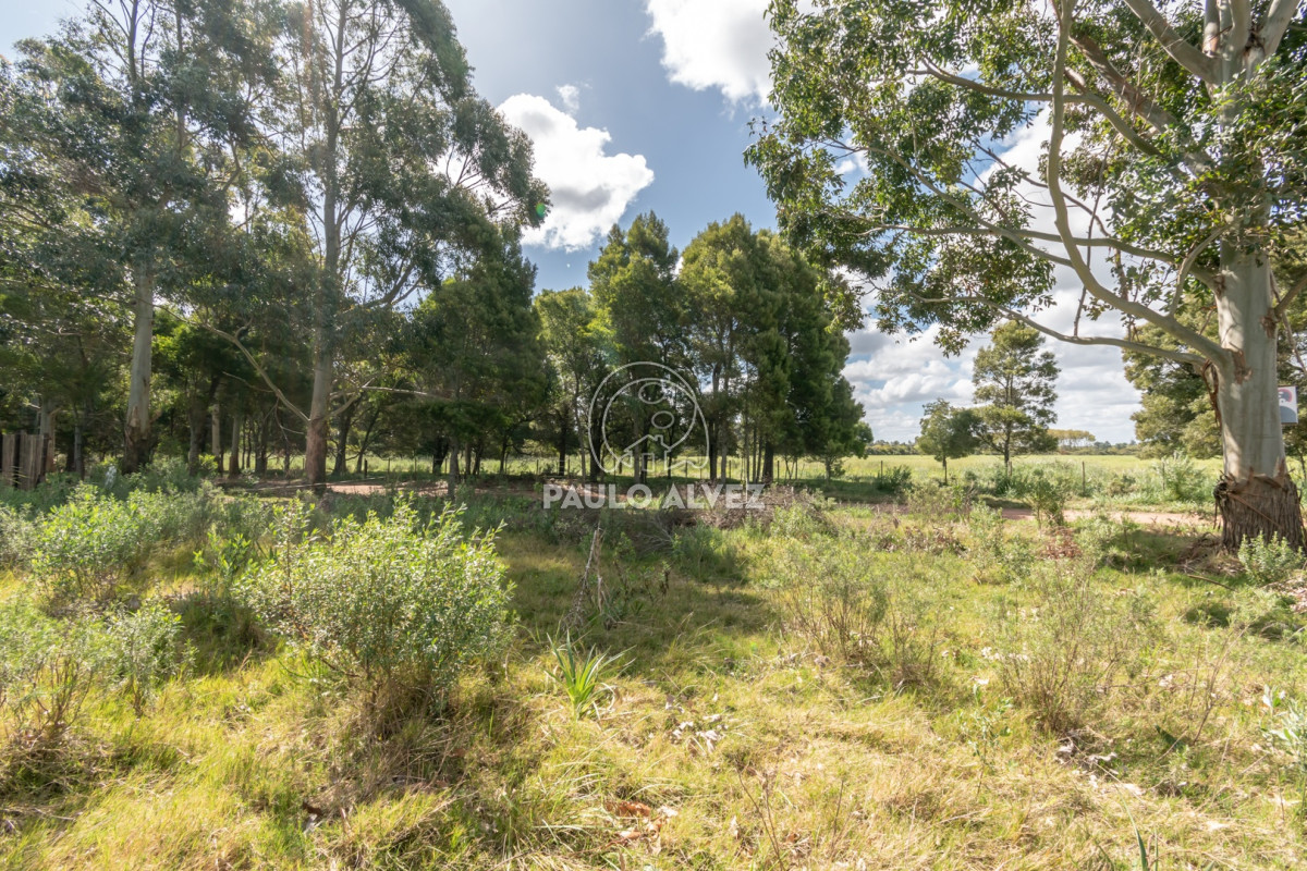 Barra Portezuelo - GoPunta - Portal Inmobiliario de Punta del Este - Maldonado