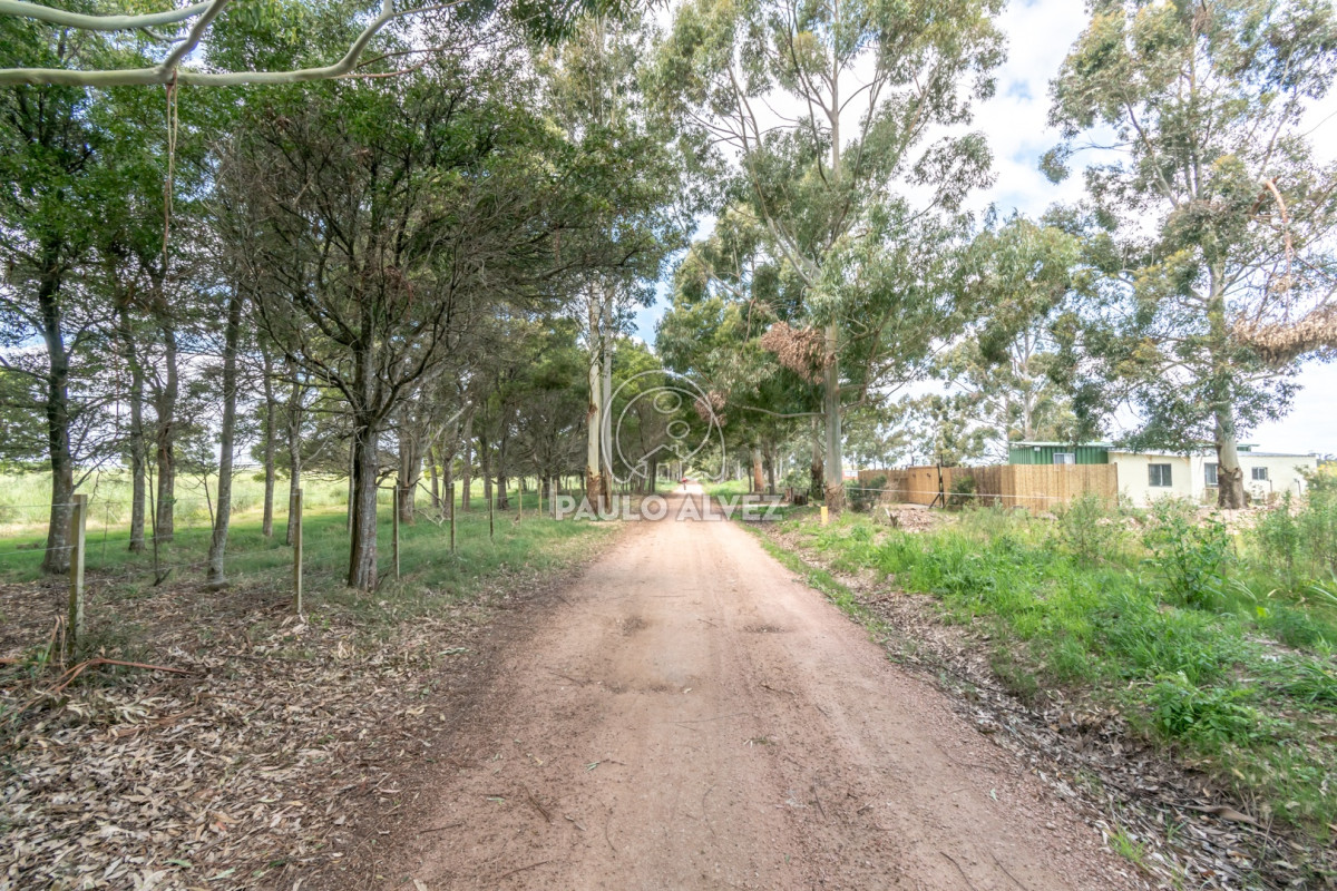 Barra Portezuelo - GoPunta - Portal Inmobiliario de Punta del Este - Maldonado