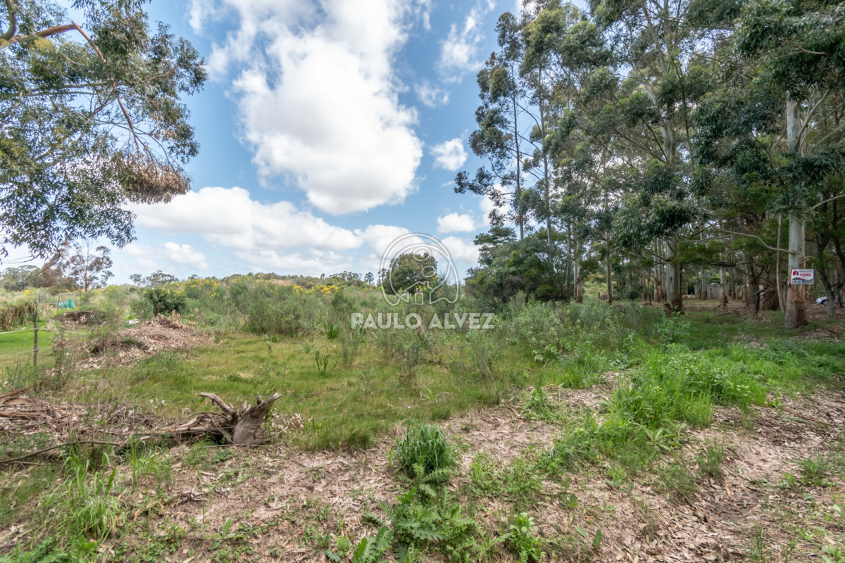 Barra Portezuelo - GoPunta - Portal Inmobiliario de Punta del Este - Maldonado