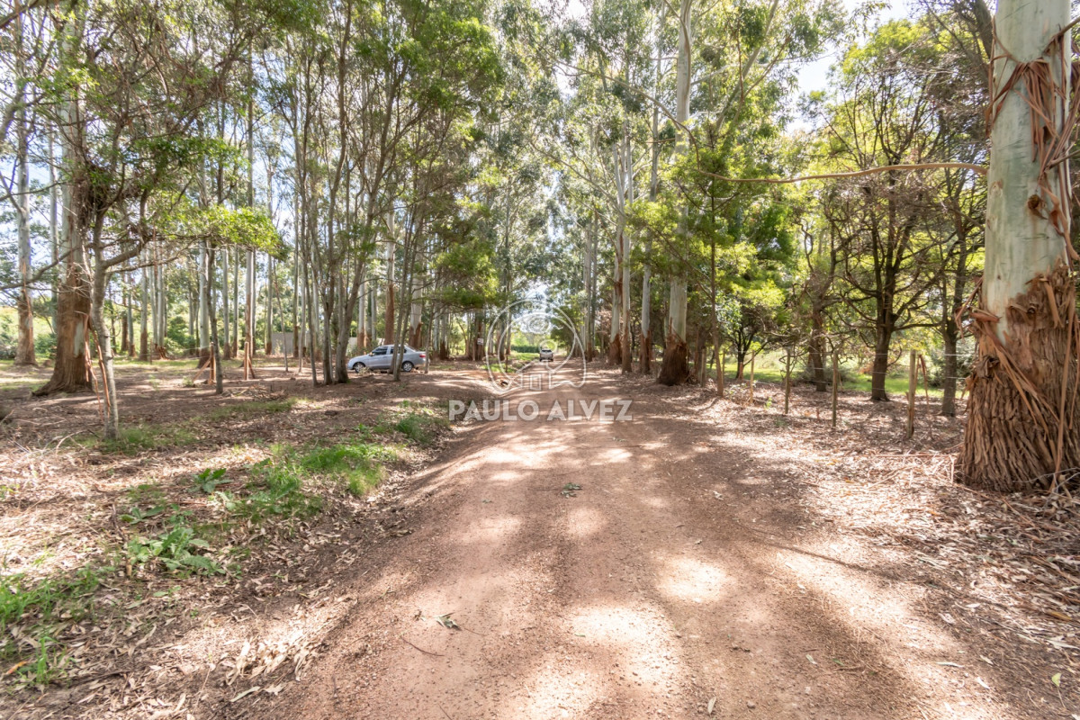 Barra Portezuelo - GoPunta - Portal Inmobiliario de Punta del Este - Maldonado