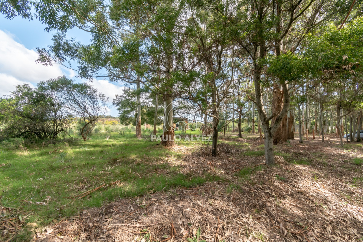 Barra Portezuelo - GoPunta - Portal Inmobiliario de Punta del Este - Maldonado