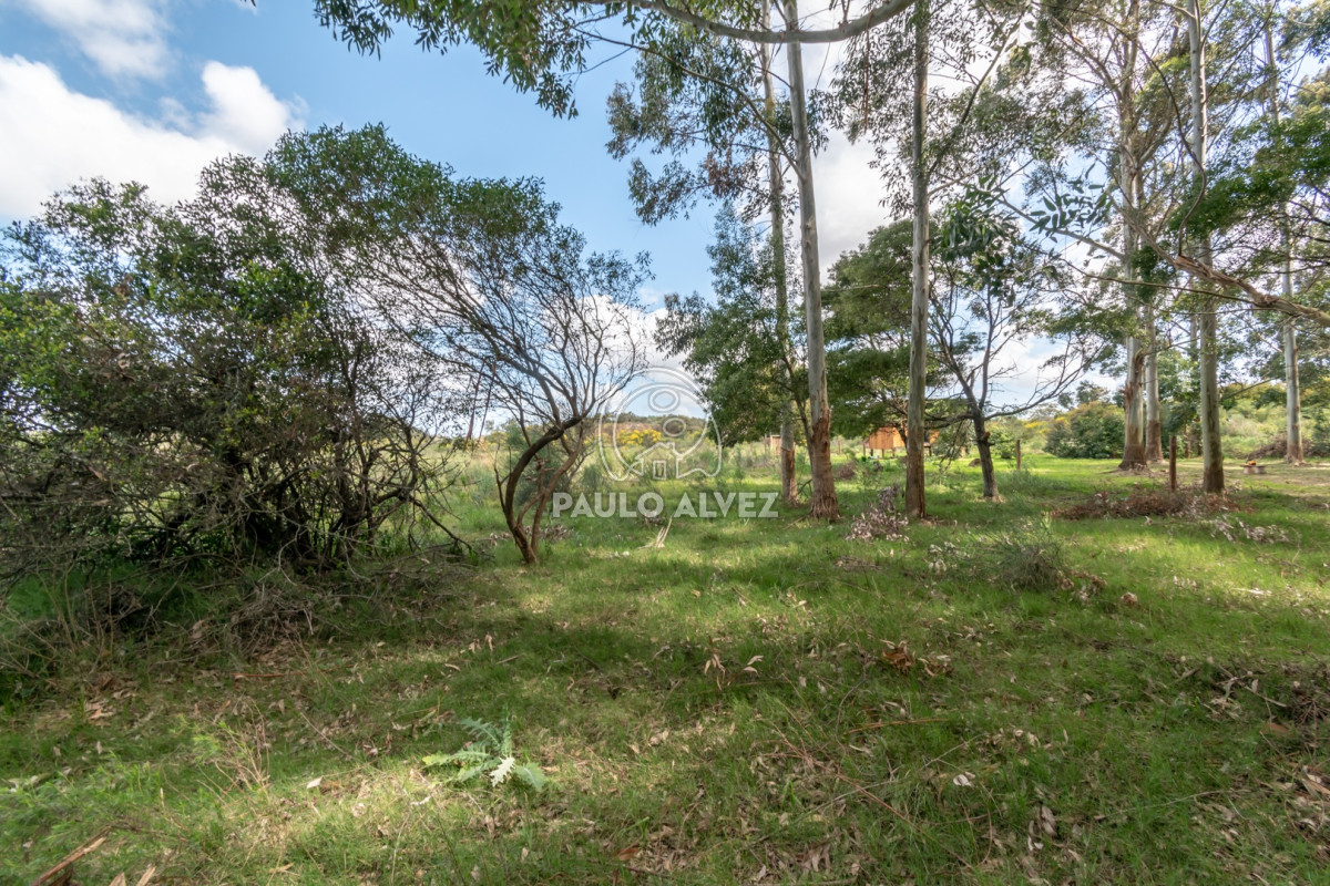 Barra Portezuelo - GoPunta - Portal Inmobiliario de Punta del Este - Maldonado