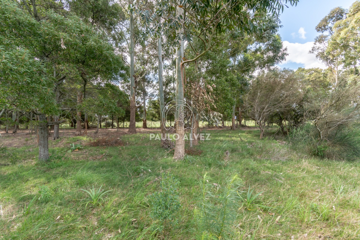 Barra Portezuelo - GoPunta - Portal Inmobiliario de Punta del Este - Maldonado