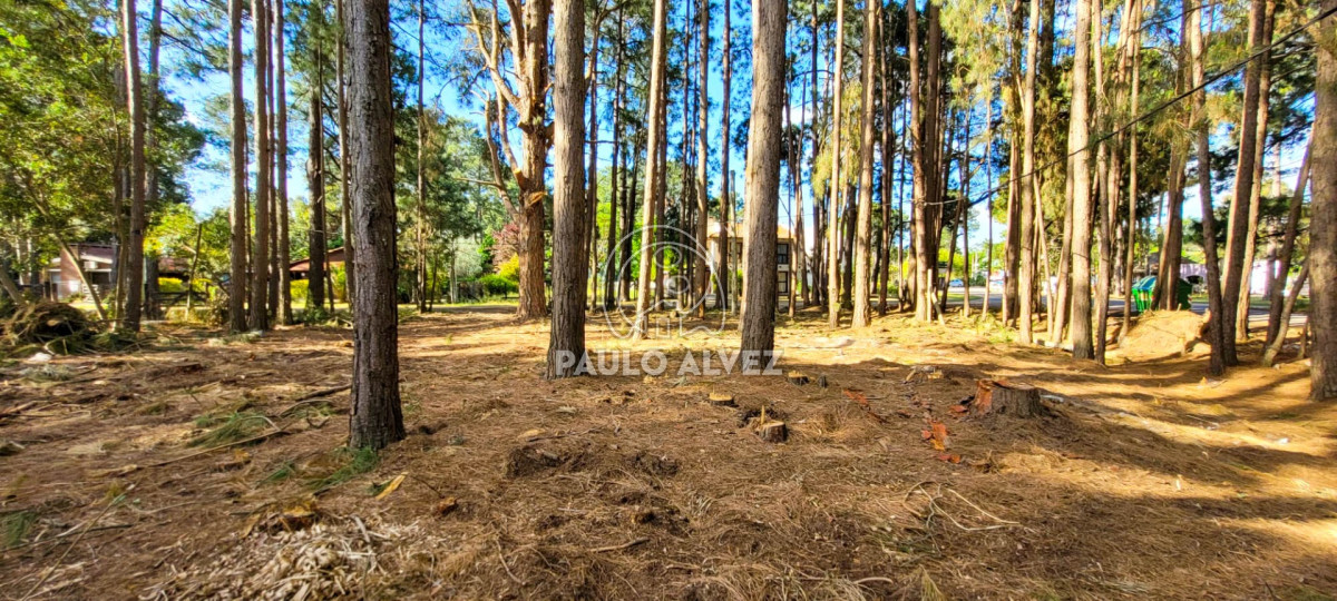 Piriápolis - GoPunta - Portal Inmobiliario de Punta del Este - Maldonado