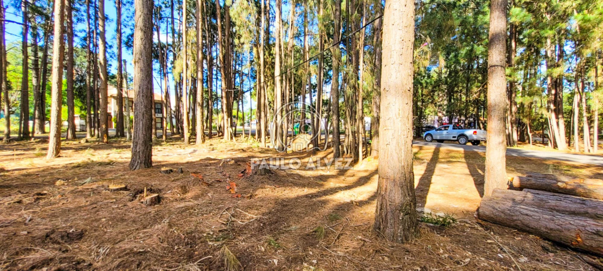 Piriápolis - GoPunta - Portal Inmobiliario de Punta del Este - Maldonado