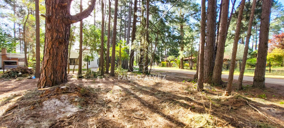 Piriápolis - GoPunta - Portal Inmobiliario de Punta del Este - Maldonado
