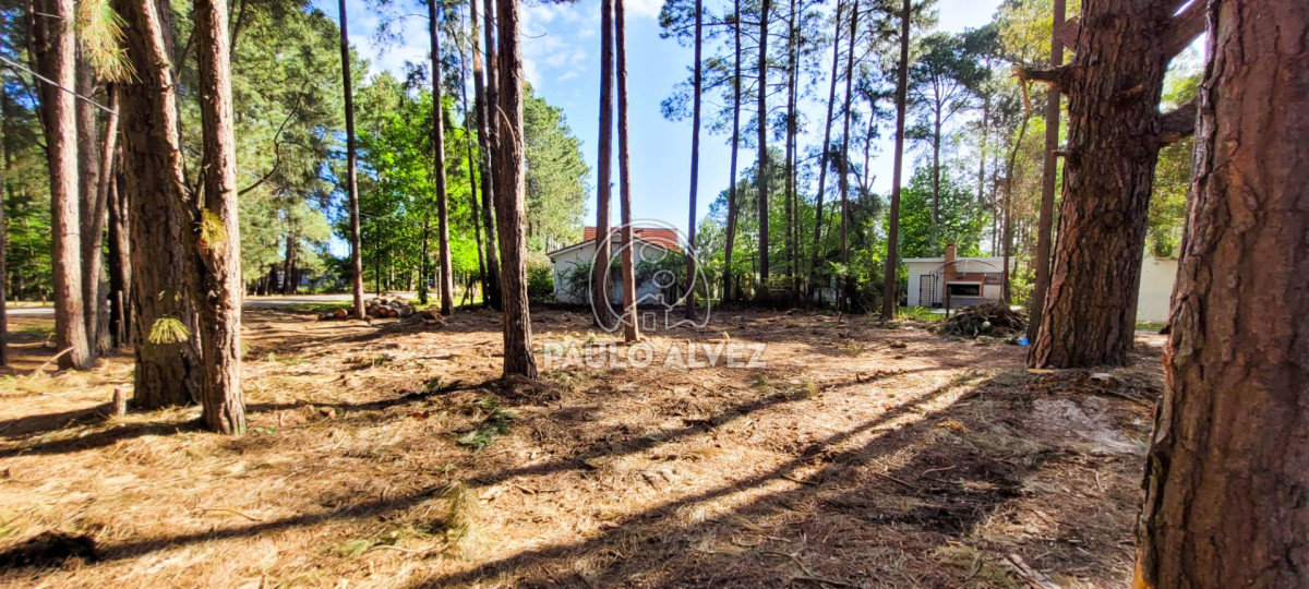 Piriápolis - GoPunta - Portal Inmobiliario de Punta del Este - Maldonado