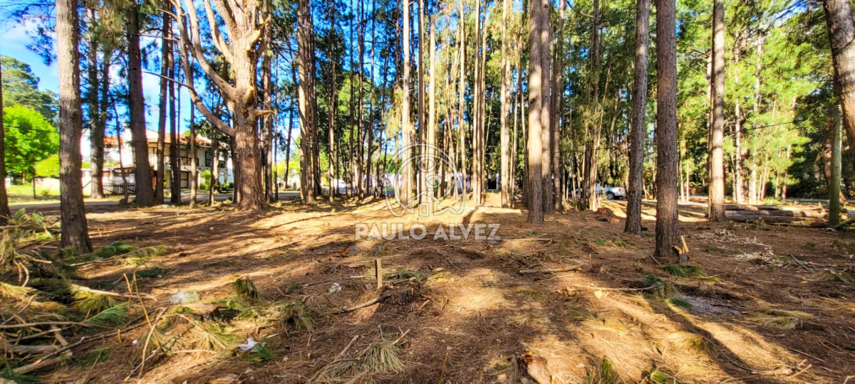 Piriápolis - GoPunta - Portal Inmobiliario de Punta del Este - Maldonado