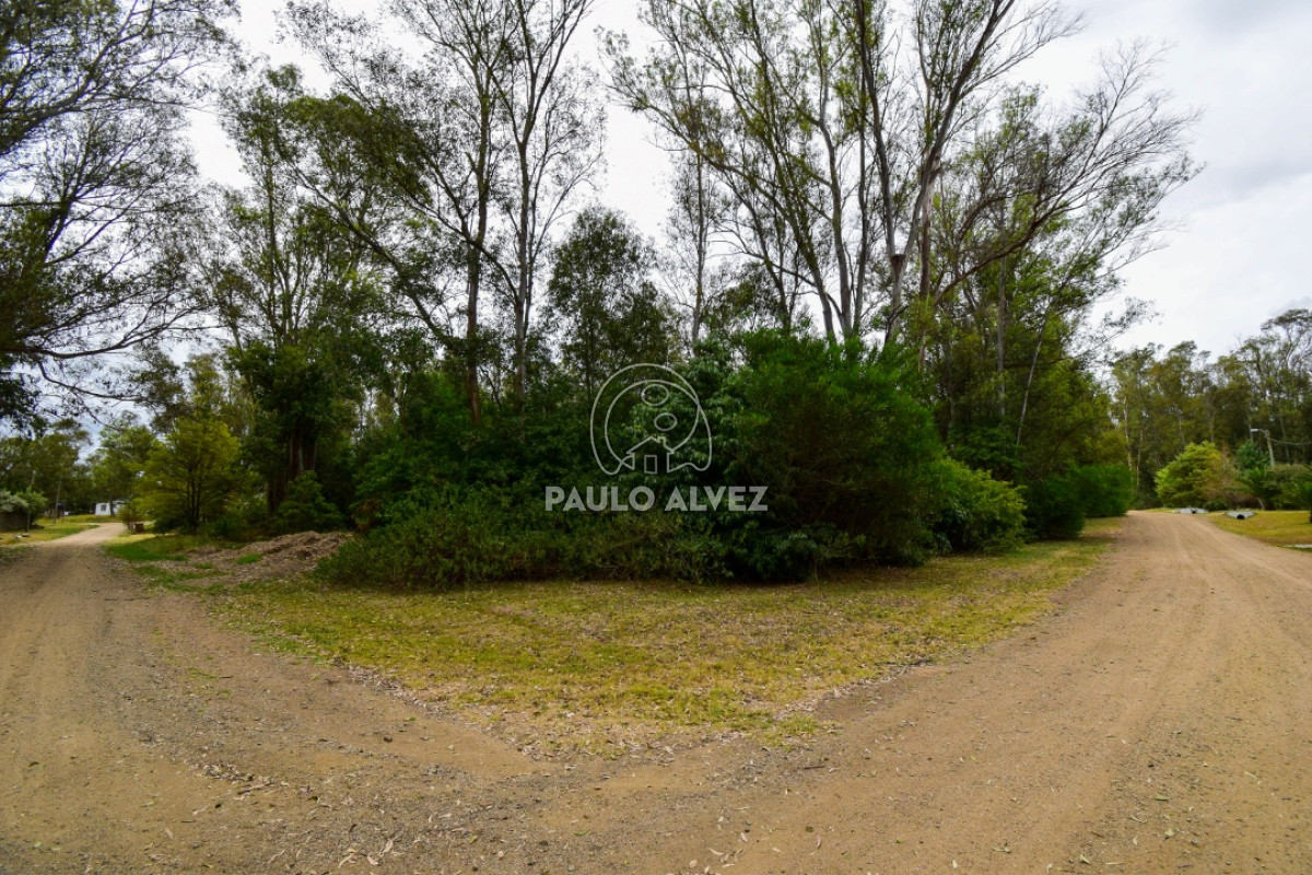 Bella Vista - GoPunta - Portal Inmobiliario de Punta del Este - Maldonado