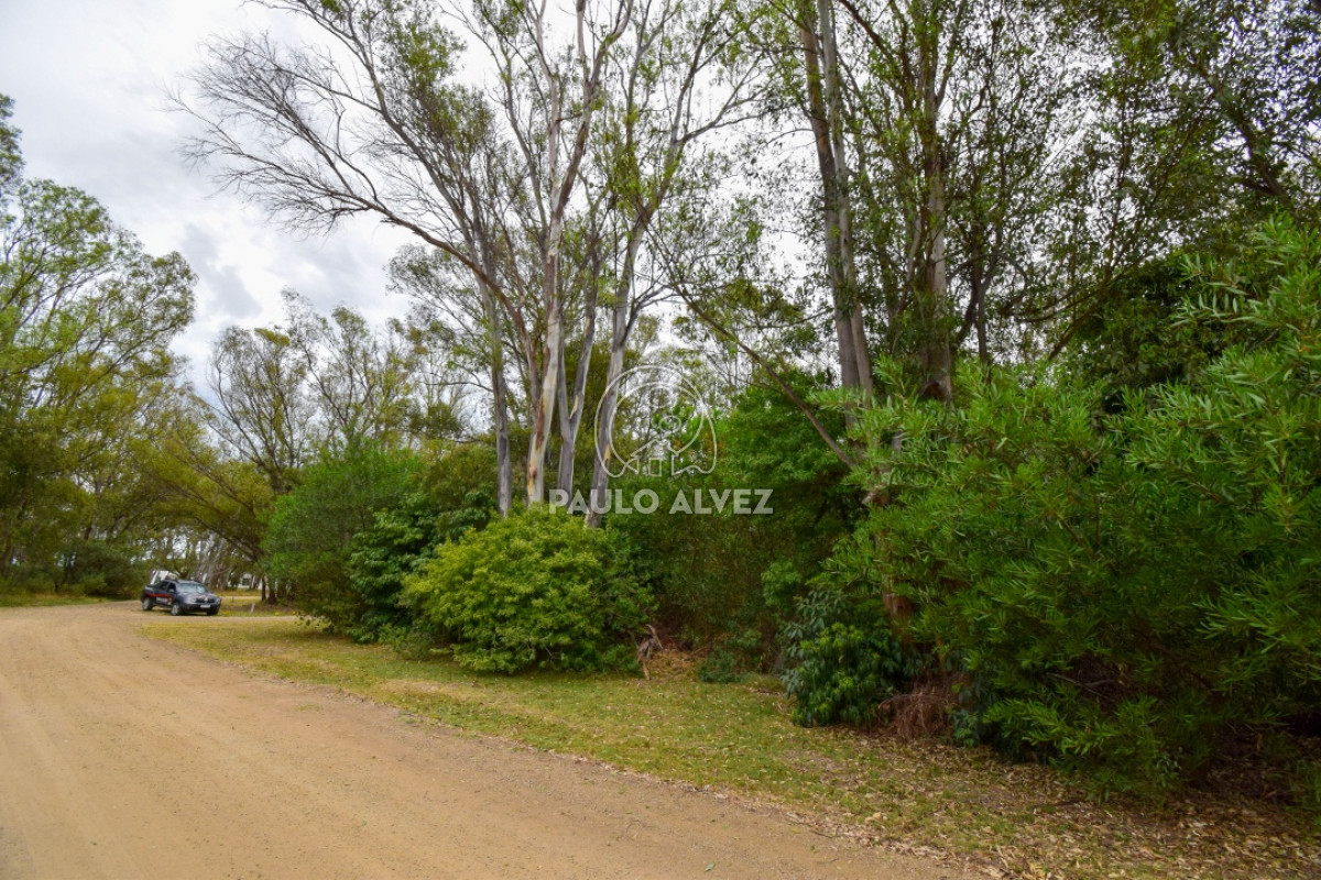 Bella Vista - GoPunta - Portal Inmobiliario de Punta del Este - Maldonado