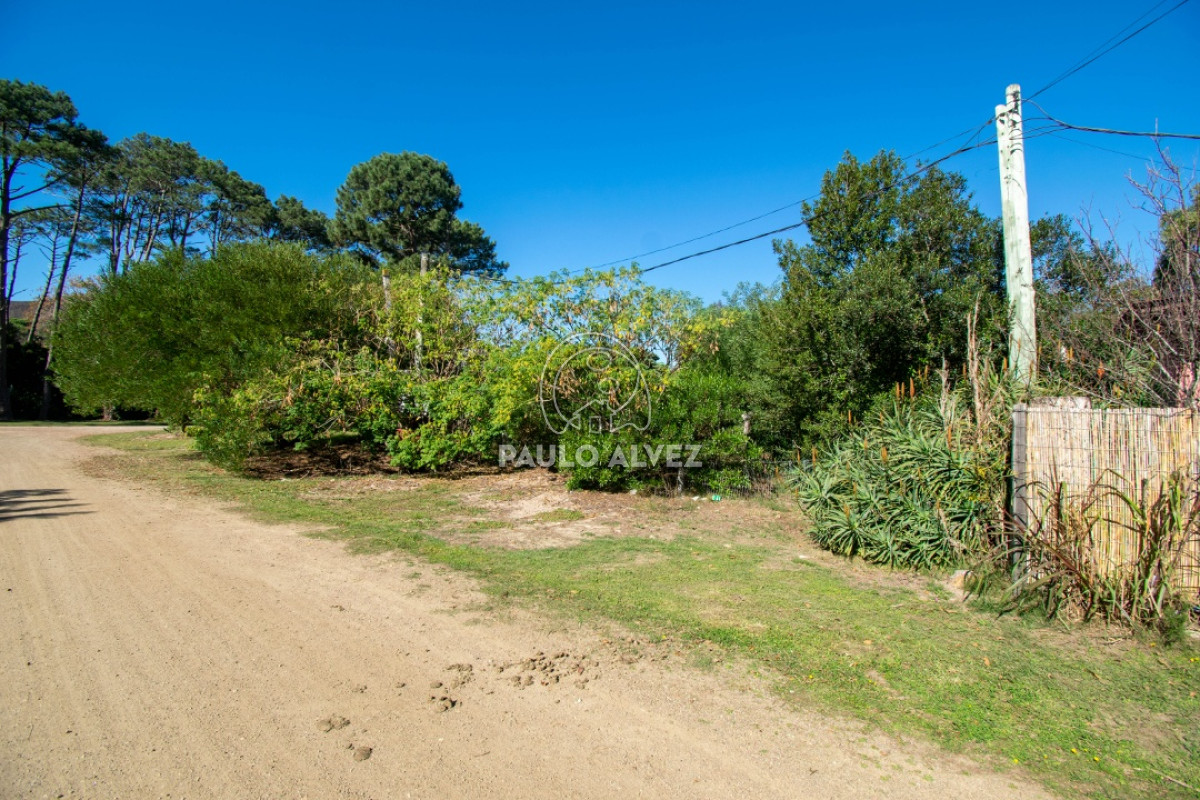 Piriápolis - GoPunta - Portal Inmobiliario de Punta del Este - Maldonado