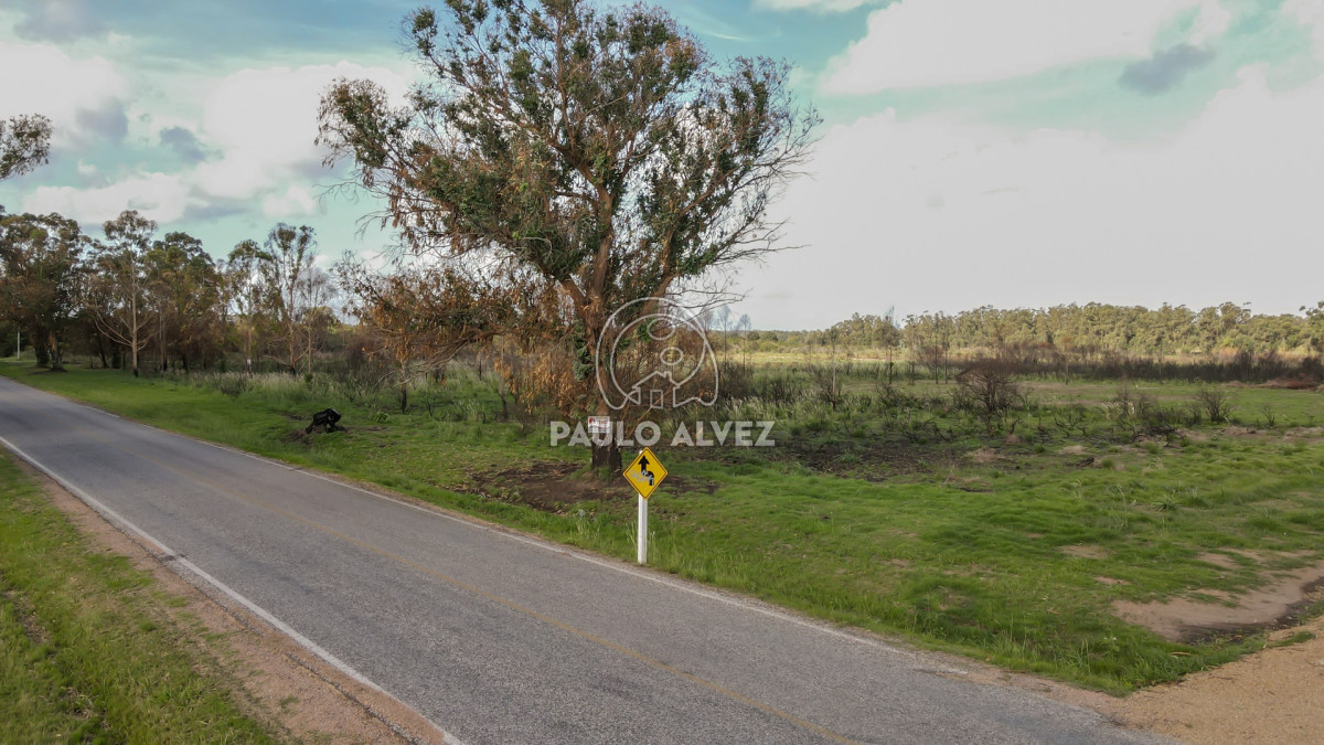 Barra Portezuelo - GoPunta - Portal Inmobiliario de Punta del Este - Maldonado