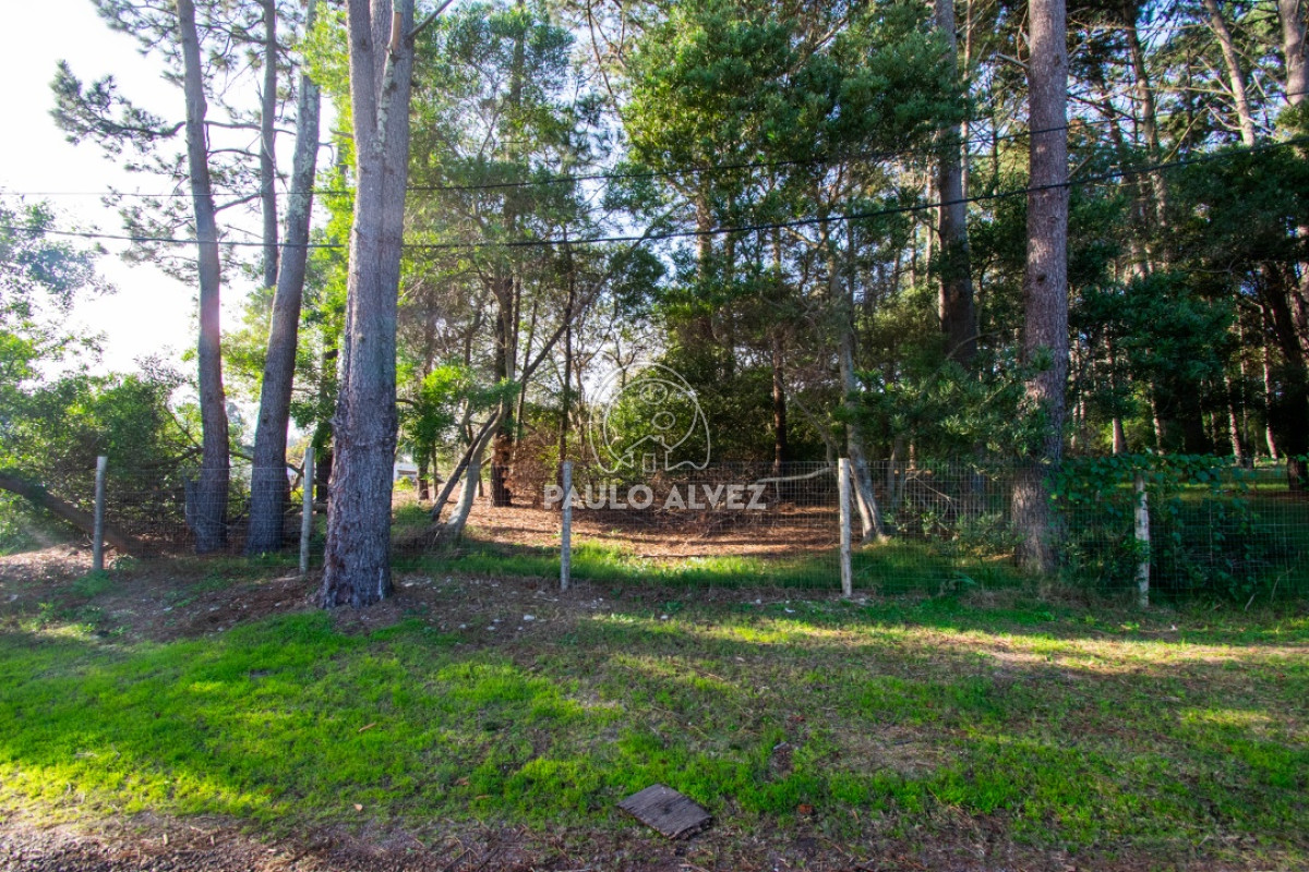 Piriápolis - GoPunta - Portal Inmobiliario de Punta del Este - Maldonado
