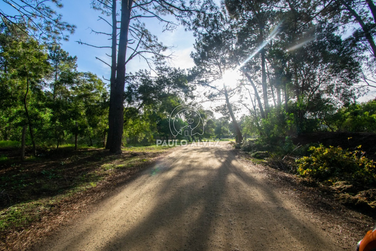 Piriápolis - GoPunta - Portal Inmobiliario de Punta del Este - Maldonado