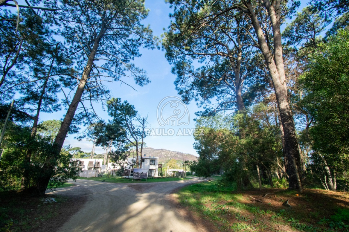 Piriápolis - GoPunta - Portal Inmobiliario de Punta del Este - Maldonado