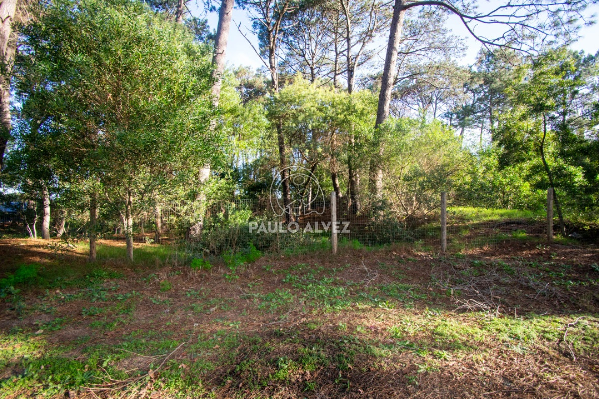 Piriápolis - GoPunta - Portal Inmobiliario de Punta del Este - Maldonado