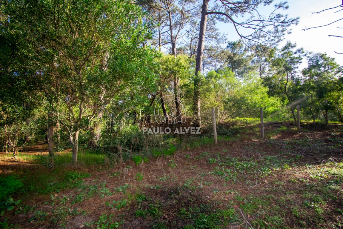 Piriápolis - GoPunta - Portal Inmobiliario de Punta del Este - Maldonado