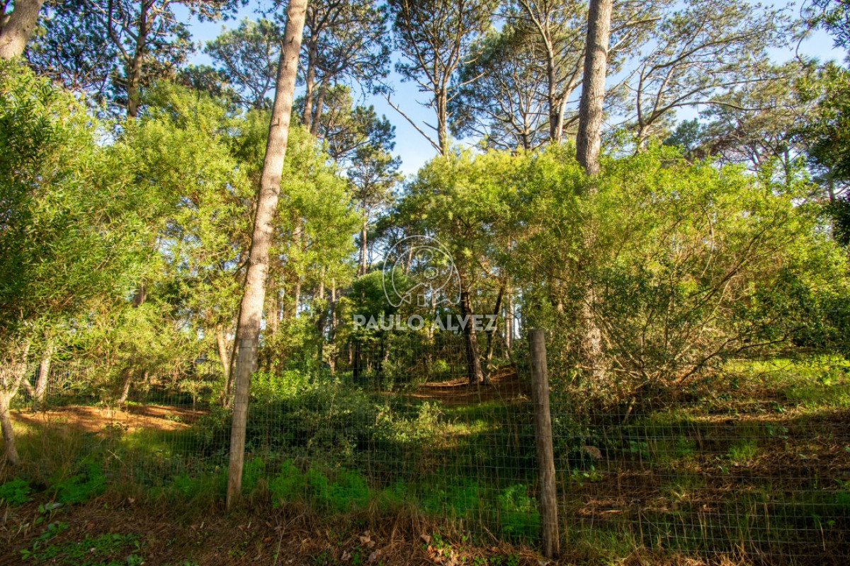 Piriápolis - GoPunta - Portal Inmobiliario de Punta del Este - Maldonado