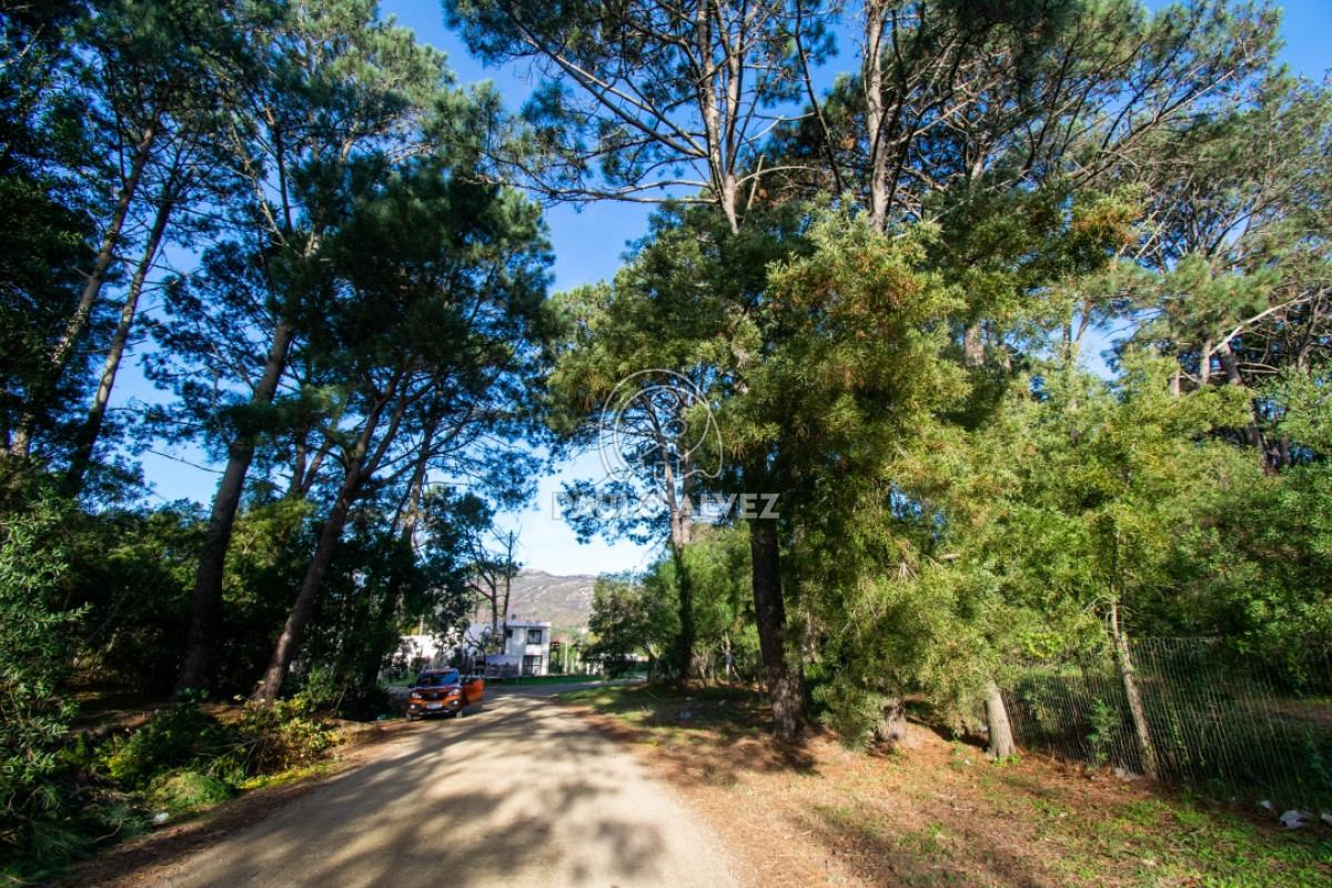 Piriápolis - GoPunta - Portal Inmobiliario de Punta del Este - Maldonado