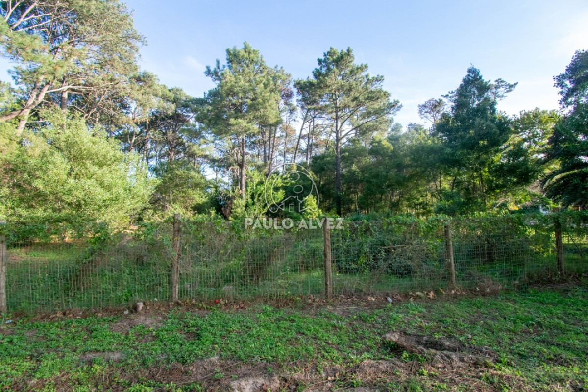Piriápolis - GoPunta - Portal Inmobiliario de Punta del Este - Maldonado