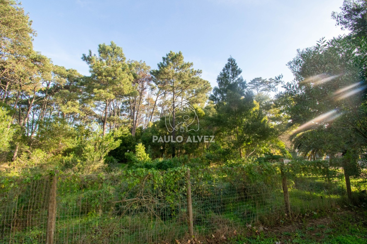 Piriápolis - GoPunta - Portal Inmobiliario de Punta del Este - Maldonado