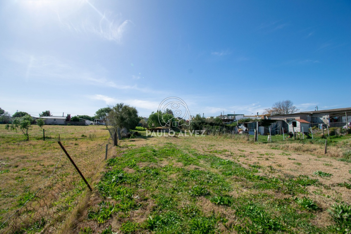 Pan de Azucar - GoPunta - Portal Inmobiliario de Punta del Este - Maldonado