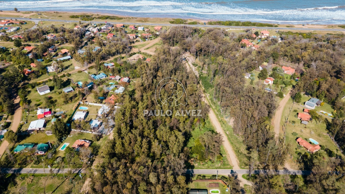 Bella Vista - GoPunta - Portal Inmobiliario de Punta del Este - Maldonado