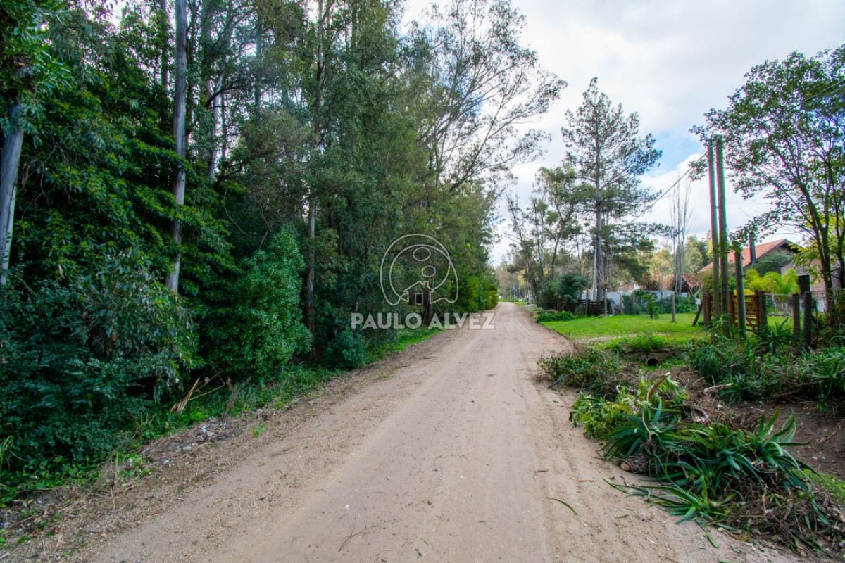 Bella Vista - GoPunta - Portal Inmobiliario de Punta del Este - Maldonado