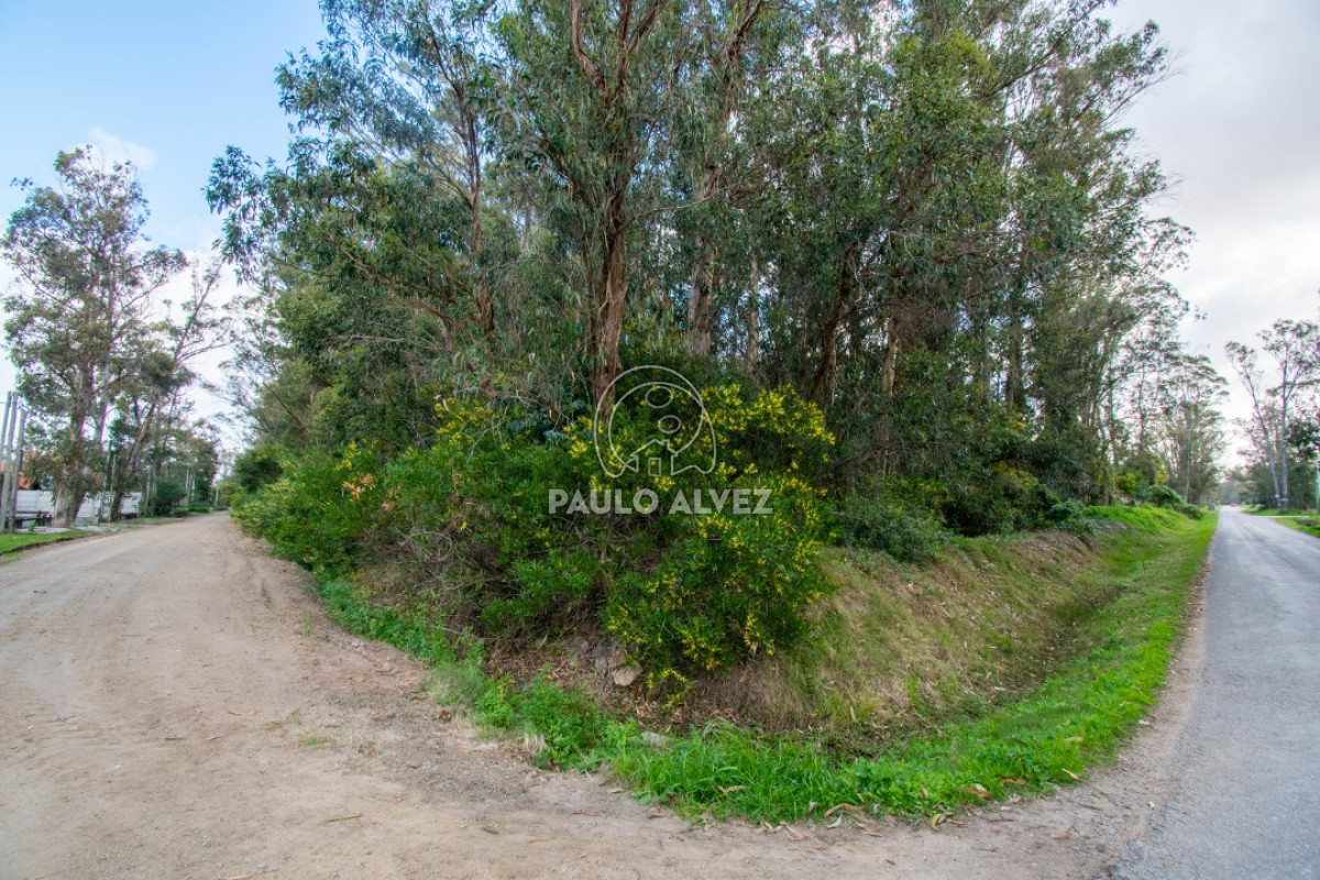 Bella Vista - GoPunta - Portal Inmobiliario de Punta del Este - Maldonado