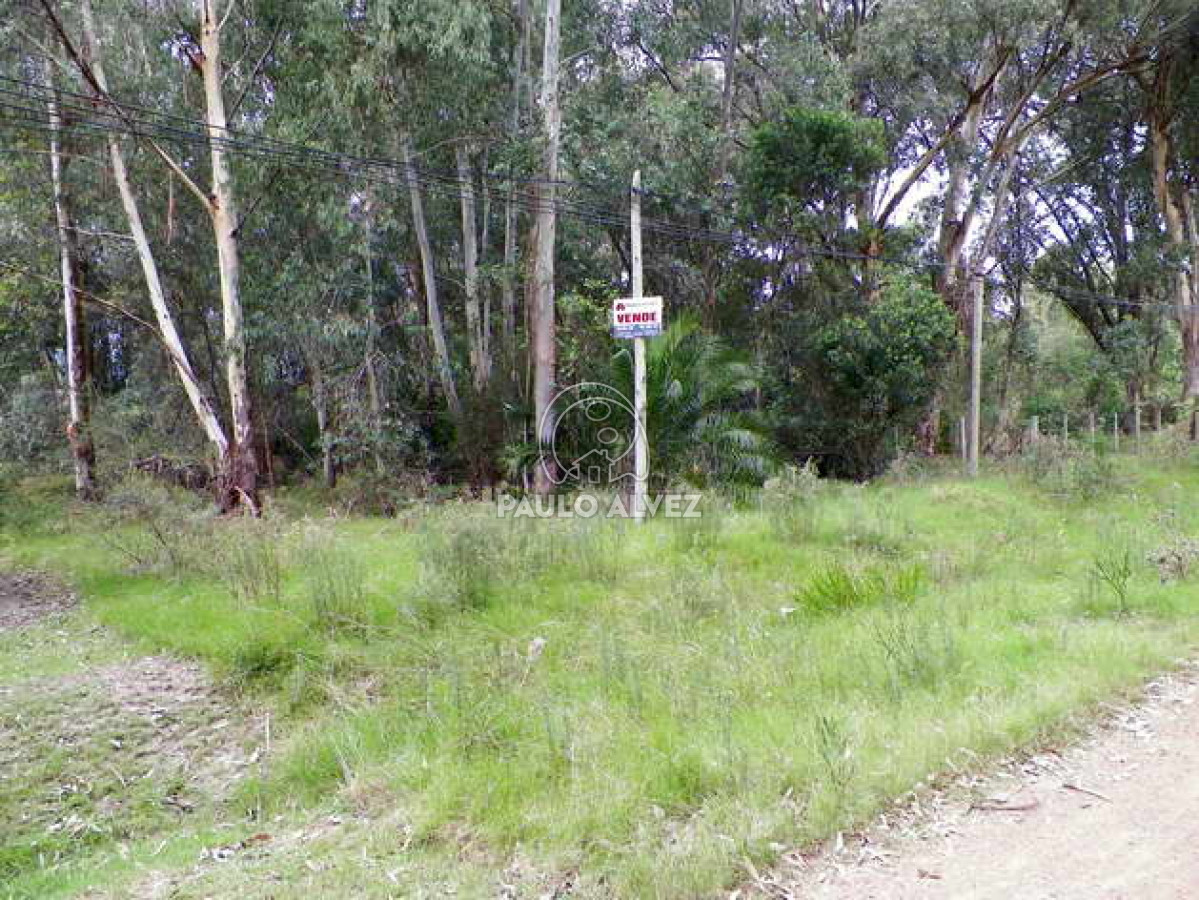 Piriápolis - GoPunta - Portal Inmobiliario de Punta del Este - Maldonado