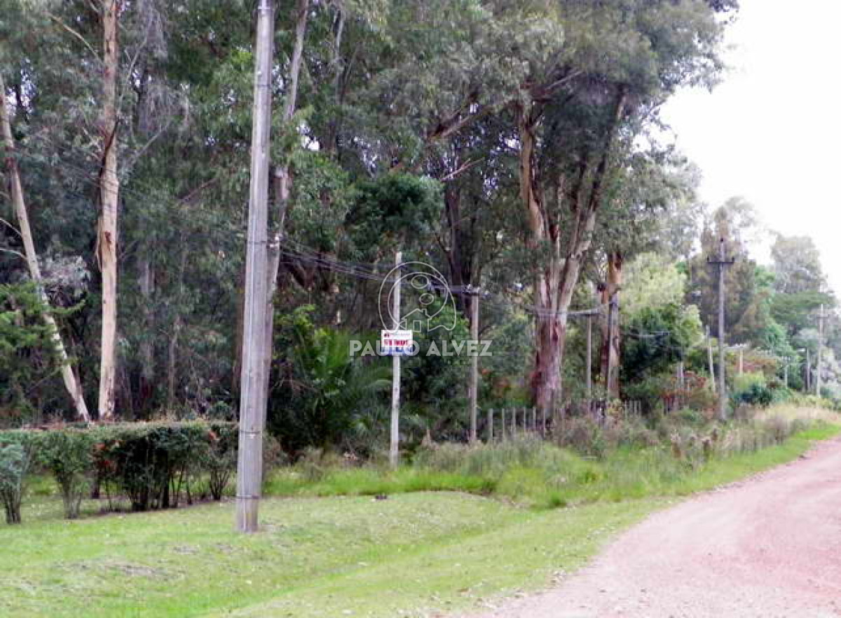 Piriápolis - GoPunta - Portal Inmobiliario de Punta del Este - Maldonado