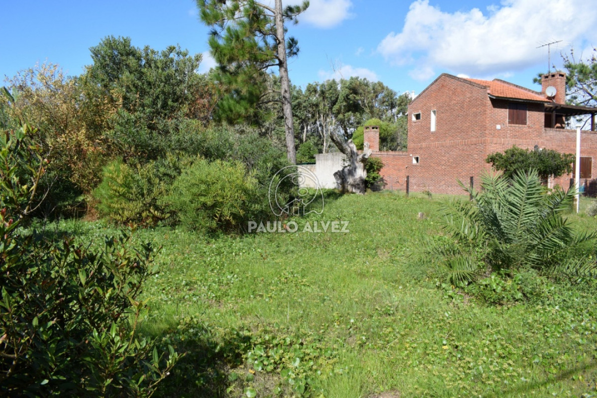 Piriápolis - GoPunta - Portal Inmobiliario de Punta del Este - Maldonado