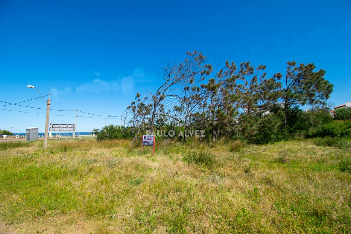 Piriápolis - GoPunta - Portal Inmobiliario de Punta del Este - Maldonado