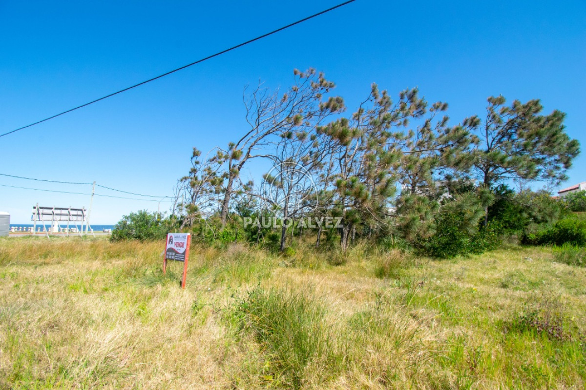 Piriápolis - GoPunta - Portal Inmobiliario de Punta del Este - Maldonado