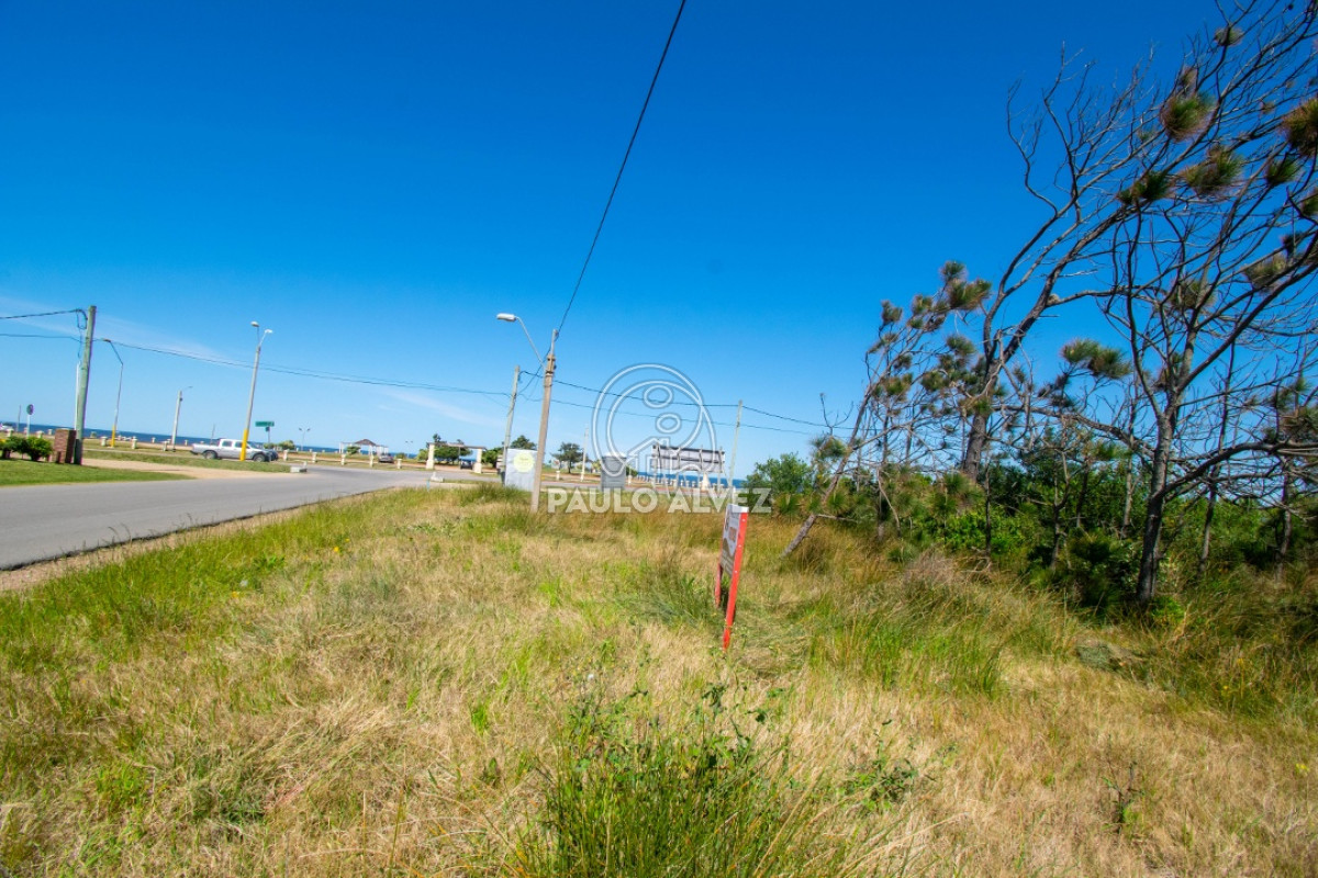 Piriápolis - GoPunta - Portal Inmobiliario de Punta del Este - Maldonado