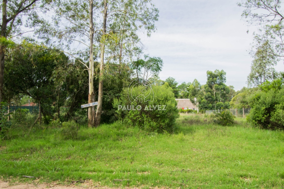 Piriápolis - GoPunta - Portal Inmobiliario de Punta del Este - Maldonado