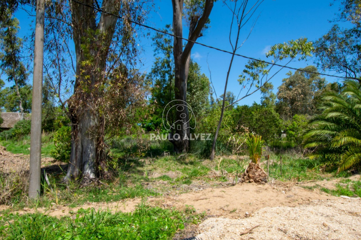 Piriápolis - GoPunta - Portal Inmobiliario de Punta del Este - Maldonado