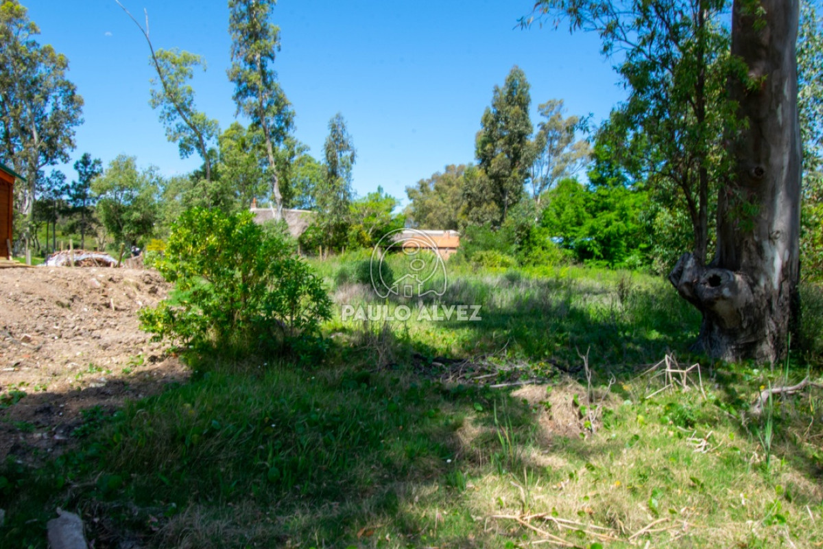 Piriápolis - GoPunta - Portal Inmobiliario de Punta del Este - Maldonado