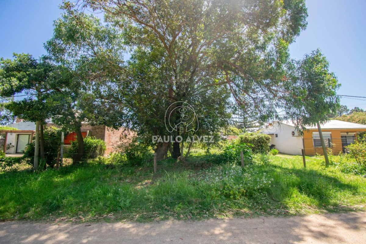 Playa Grande - GoPunta - Portal Inmobiliario de Punta del Este - Maldonado