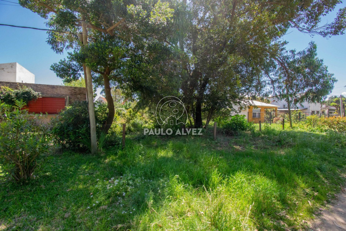Playa Grande - GoPunta - Portal Inmobiliario de Punta del Este - Maldonado