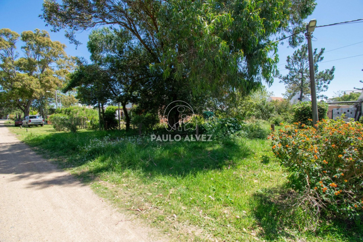 Playa Grande - GoPunta - Portal Inmobiliario de Punta del Este - Maldonado