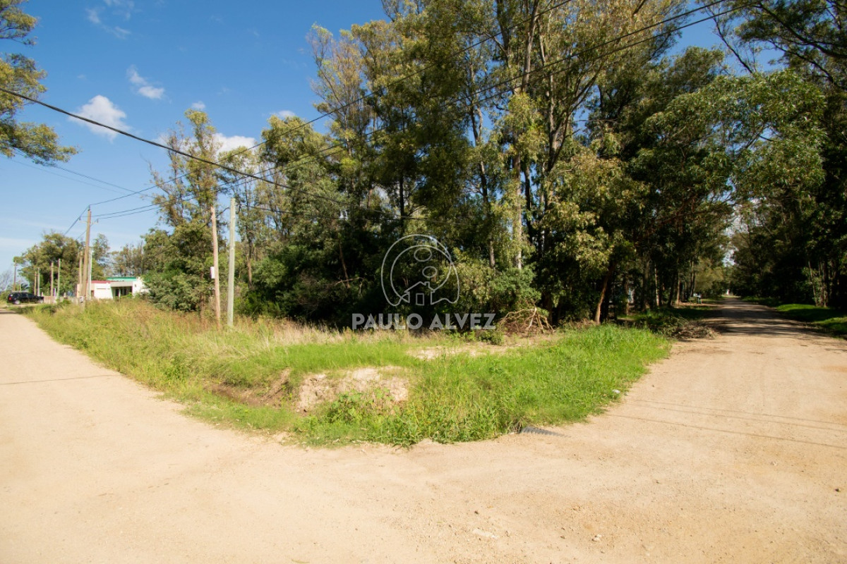 Piriápolis - GoPunta - Portal Inmobiliario de Punta del Este - Maldonado