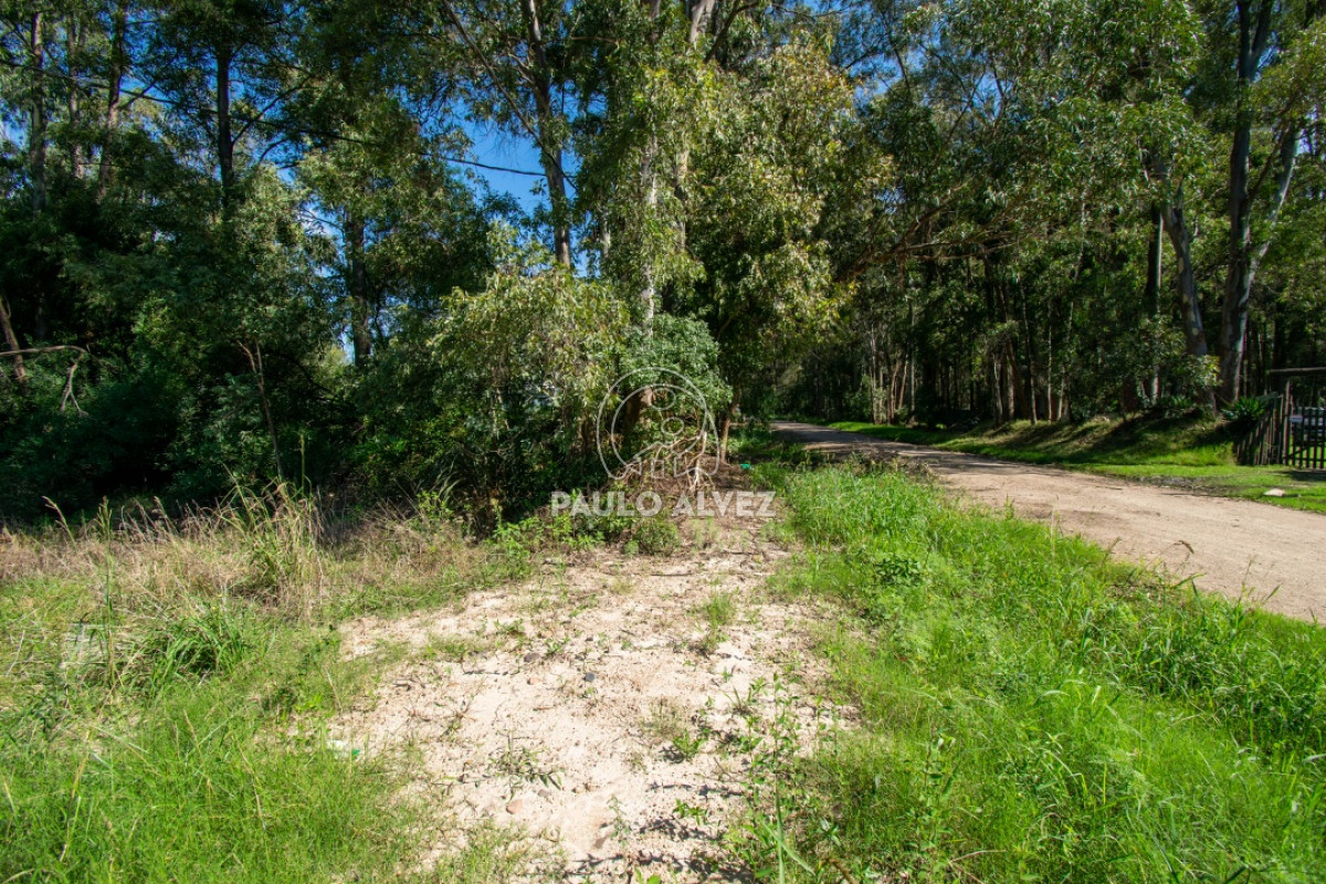 Piriápolis - GoPunta - Portal Inmobiliario de Punta del Este - Maldonado
