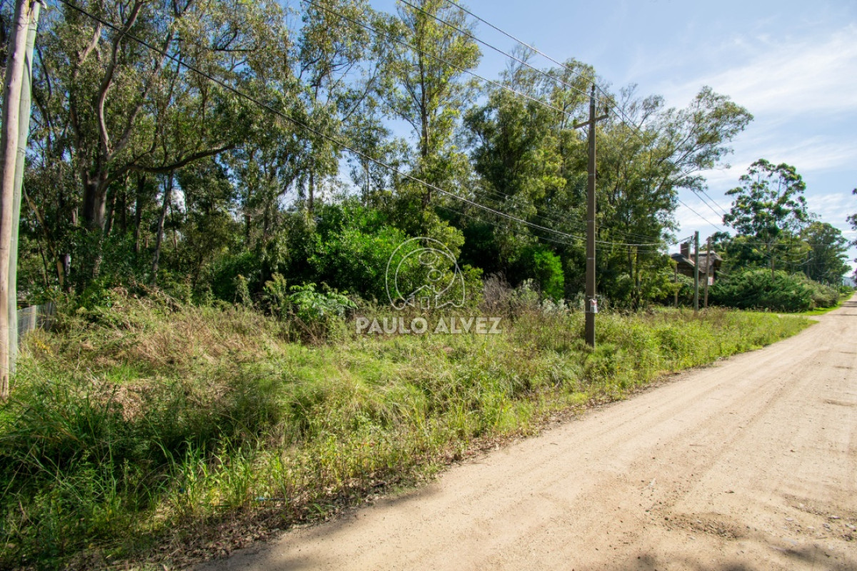 Piriápolis - GoPunta - Portal Inmobiliario de Punta del Este - Maldonado