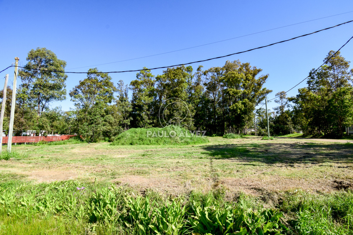 Piriápolis - GoPunta - Portal Inmobiliario de Punta del Este - Maldonado