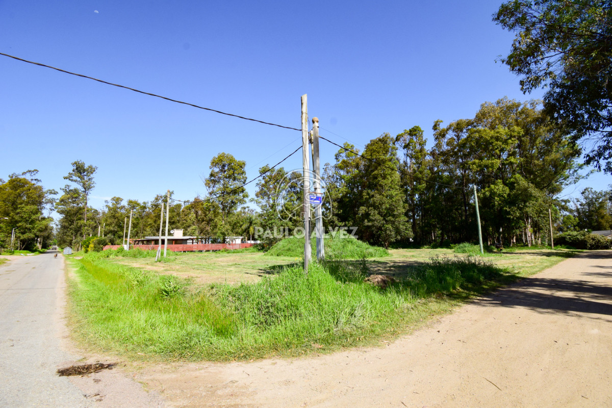 Piriápolis - GoPunta - Portal Inmobiliario de Punta del Este - Maldonado